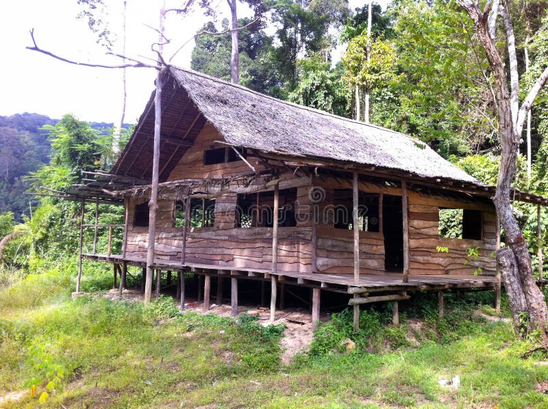  Cabane  Rustique Dans La Jungle  Image stock Image du 