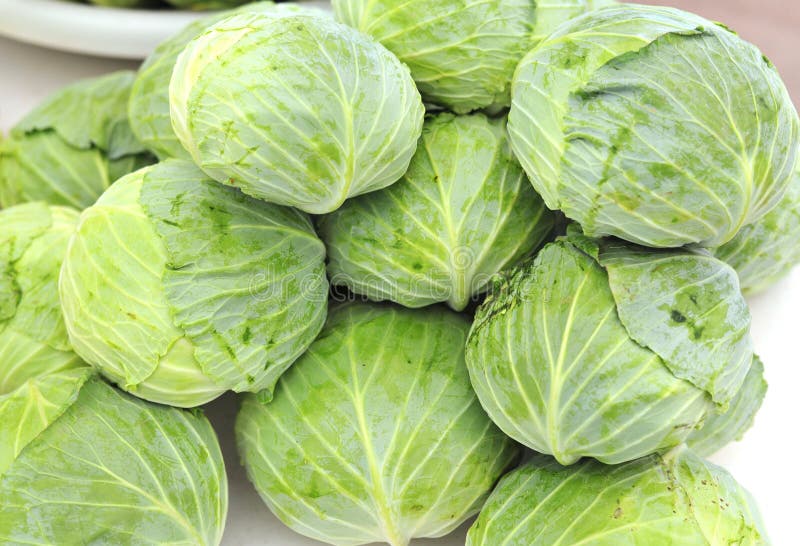 Cabbage stock image. Image of market, cabbage, objects 25851085