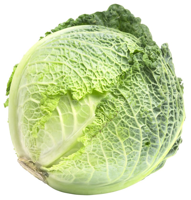 Cabbage