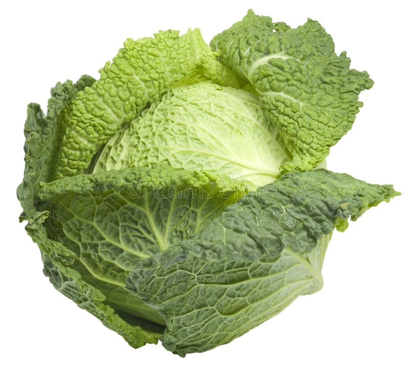 Cabbage