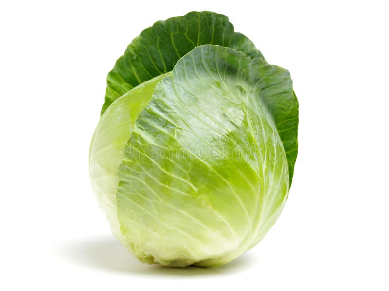 Cabbage stock image. Image of fruits, cabbage, agriculture 135837121