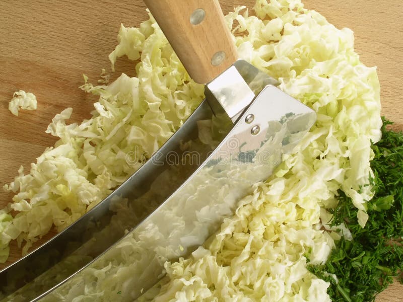 Cabbage & dill stock photography