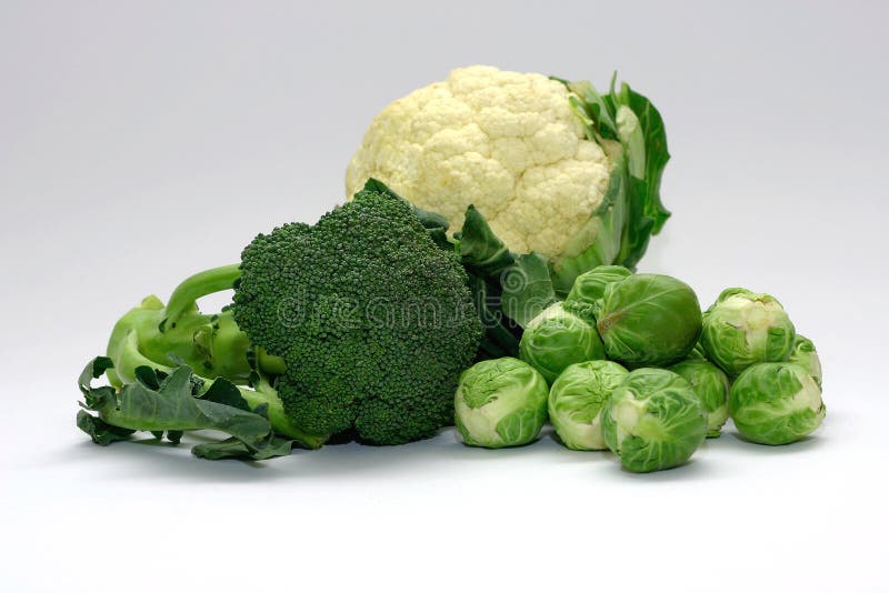 Cabbage Family stock image. Image of vegetable, sprouts 98281