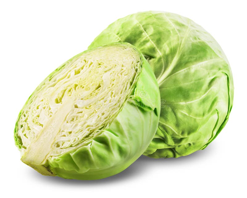 Cabbage