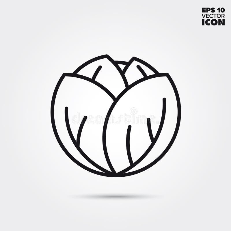 Cabbage head vegetable vector line icon vector illustration Cabbage head vegetable vector line icon vector illustration