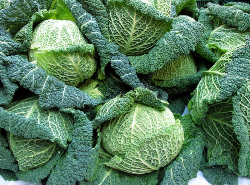 Cabbage Heads stock image. Image of green, market, cabbage 19139167