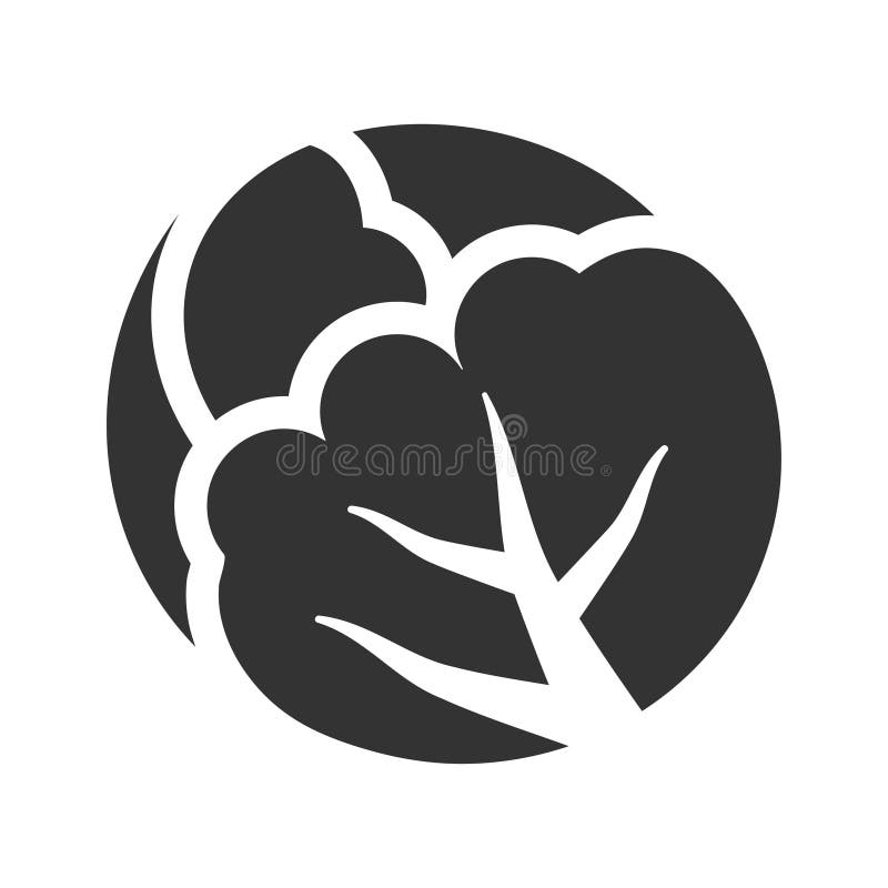 Cabbage Icon Stock Vector Illustration Of Food Leafy 301474699 cabbage-vegetable-green-free-photo-on-pixabay-pixabay