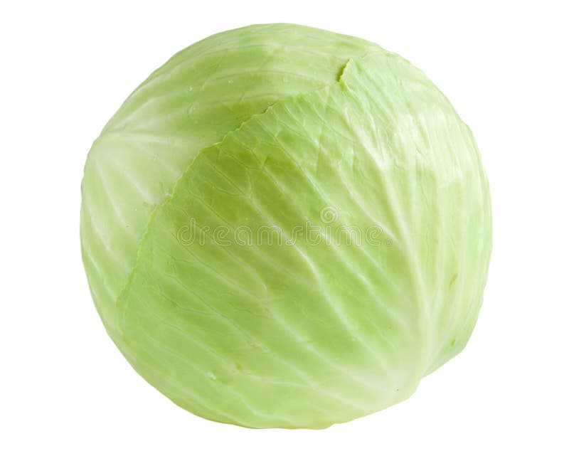 Cabbage isolated