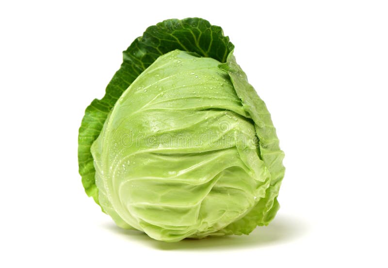 Cabbage