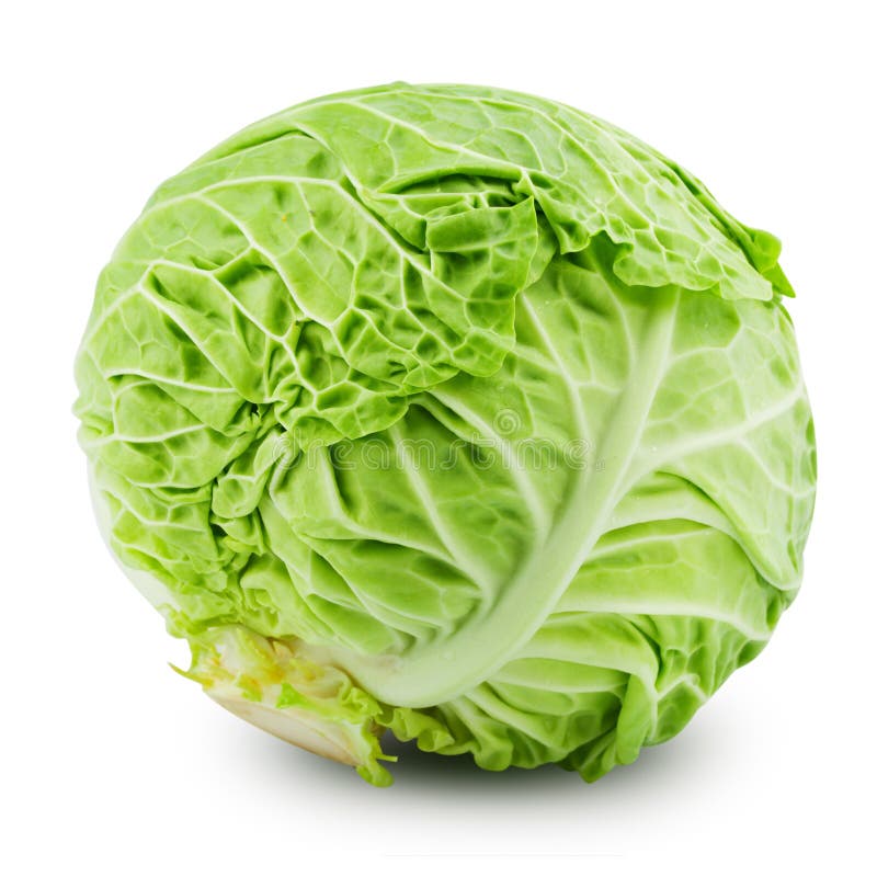 Cabbage stock photo. Image of ripe, food, fruit, juicy 49820084