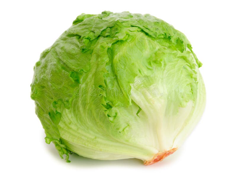 Cabbage lettuce