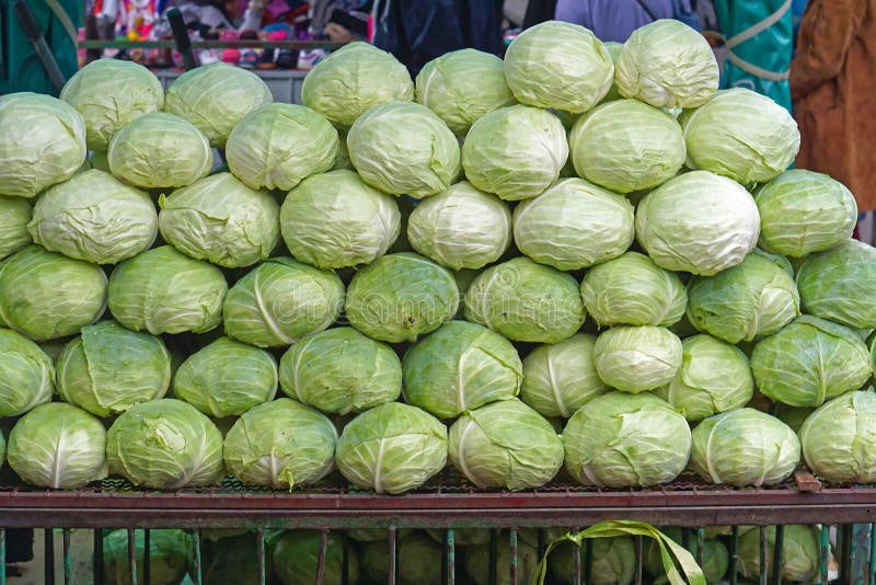 Cabbage market stock photo. Image of vegetables, cabbages 199979440