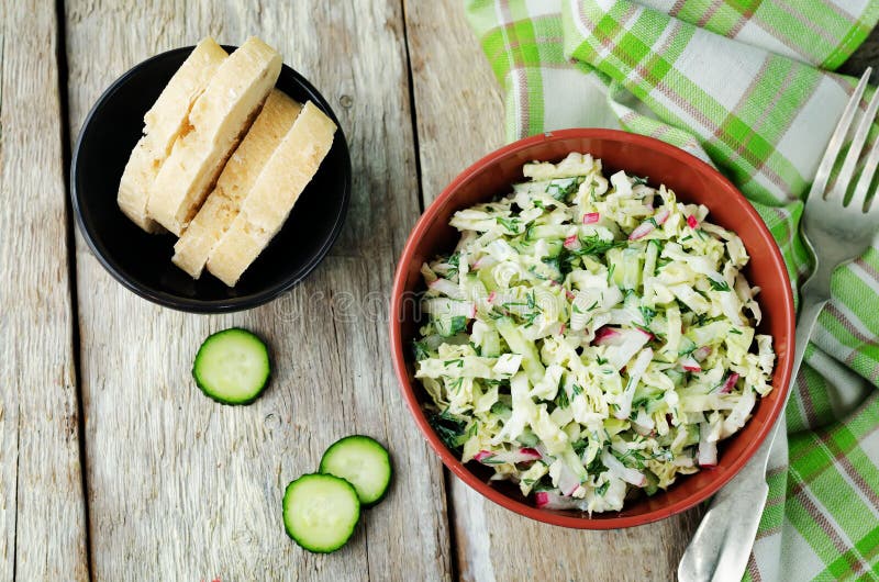 Cabbage Radish Cucumber Dill Salad with Greek Yogurt Dressing Stock