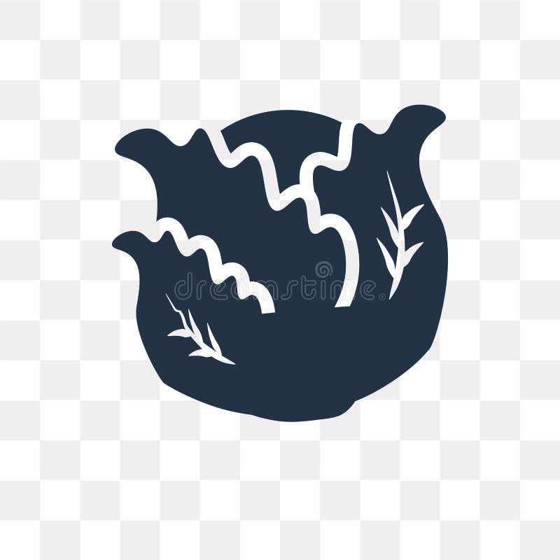 Cabbage vector icon isolated on transparent background, Cabbage royalty free illustration Cabbage vector icon isolated on transparent background, Cabbage royalty free illustration