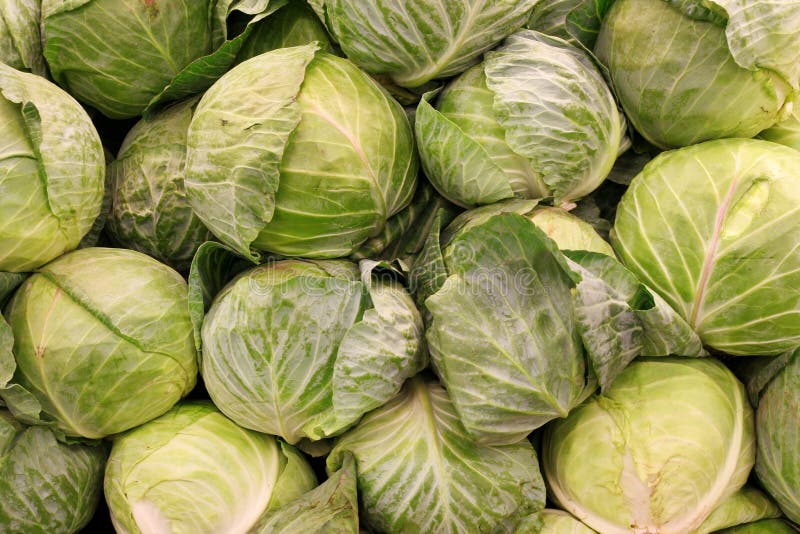 Cabbages stock image. Image of fresh, healthy, cabbages 2113779