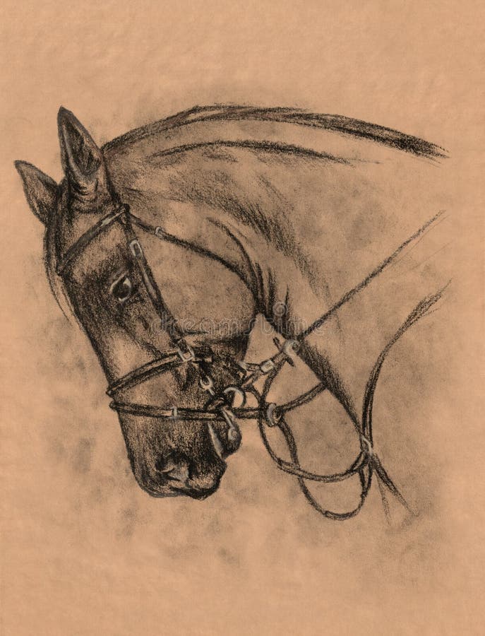 Cavalos que Nuzzling: Desenho de lápis, realismo