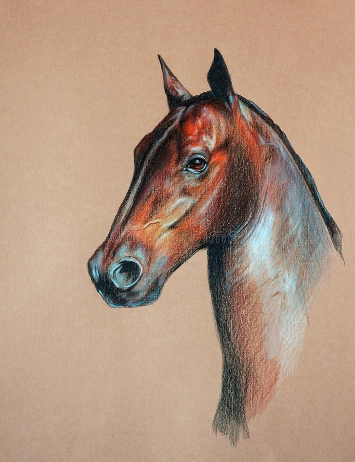 Cabeça De Cavalo Frente Da Frente Da Cabeça Do Vetor Negro Ilustração do  Vetor - Ilustração de cavalo, grampo: 178419961