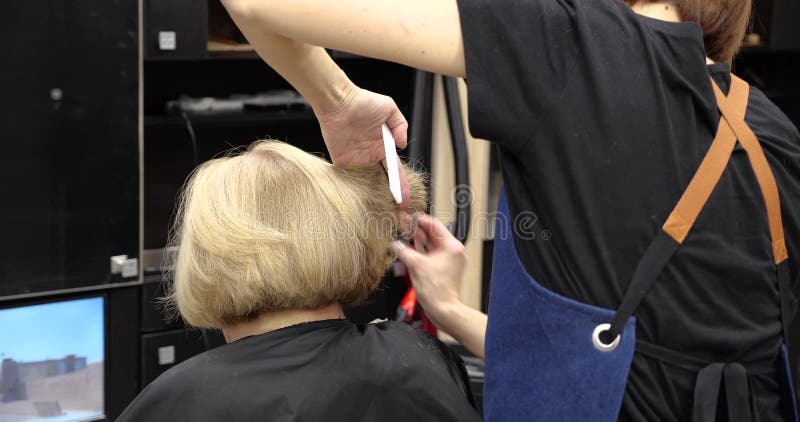 Barbeiro Profissional Que Trabalha Com Um Cliente Em Um Salão De Beleza Do  Cabeleireiro, Usos Um Secador De Cabelo Foto de Stock - Imagem de  profissional, estiloso: 117811236