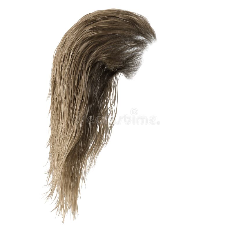 Visão Frontal Do Cabelo Longo E Louro Ilustração Stock