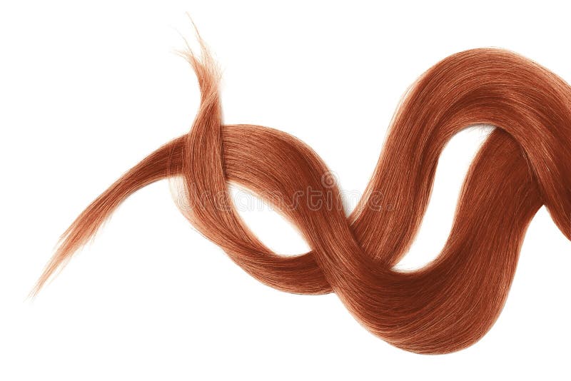 Cabelo da hena isolado no fundo branco Rabo de cavalo bagunçado longo foto de stock royalty free Cabelo da hena isolado no fundo branco Rabo de cavalo bagunçado longo foto de stock royalty free