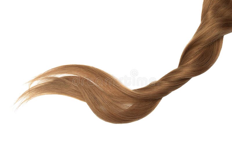 Cabelo de Brown, isolado no fundo branco Rabo de cavalo bonito longo fotos de stock Cabelo de Brown, isolado no fundo branco Rabo de cavalo bonito longo fotos de stock