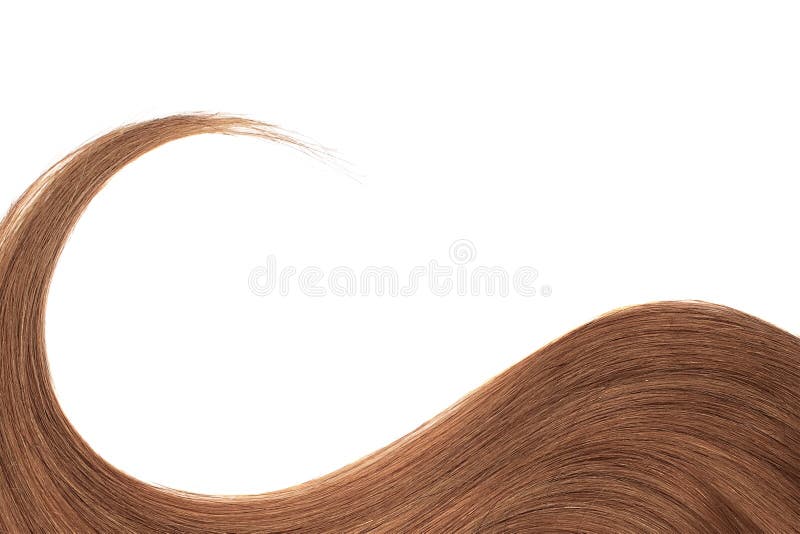 Cabelo escuro de Brown isolado no fundo branco Rabo de cavalo ondulado longo fotos de stock Cabelo escuro de Brown isolado no fundo branco Rabo de cavalo ondulado longo fotos de stock