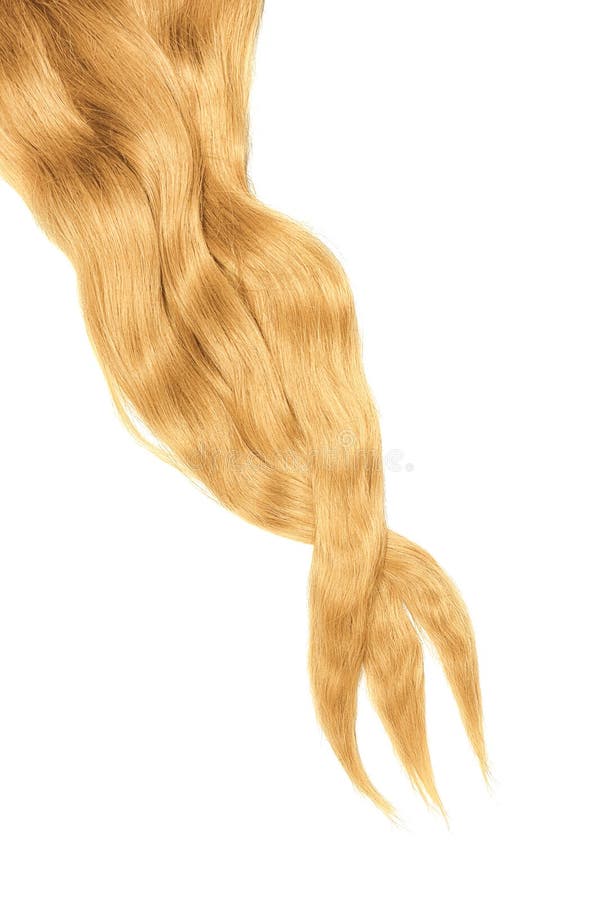 Cabelo louro do ouro isolado no fundo branco Rabo de cavalo bagunçado longo fotos de stock royalty free Cabelo louro do ouro isolado no fundo branco Rabo de cavalo bagunçado longo fotos de stock royalty free