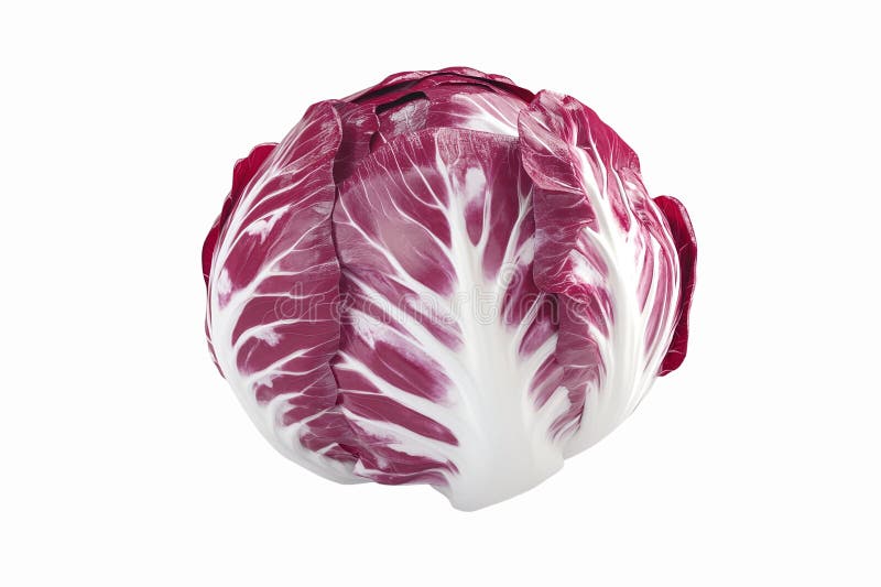 Cabeza de lechuga radicchio fresco orgánico con hojas desmarcadas en fondo transparente stock de ilustración
