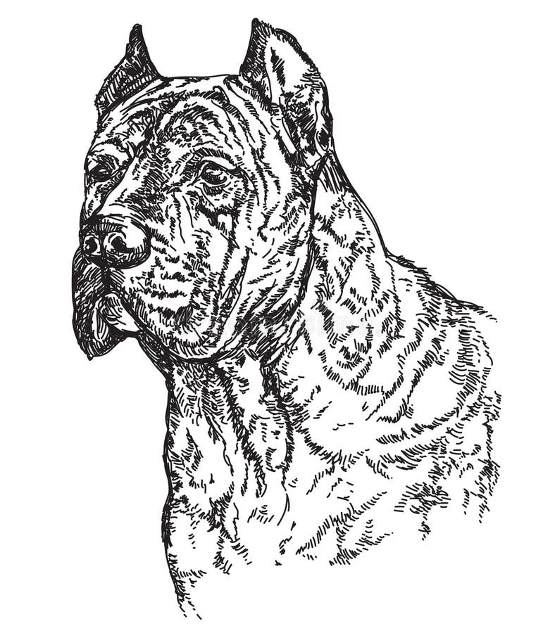 Cabeza de perro en el ejemplo del dibujo de la mano del vector del profil stock de ilustración Cabeza de perro en el ejemplo del dibujo de la mano del vector del profil stock de ilustración