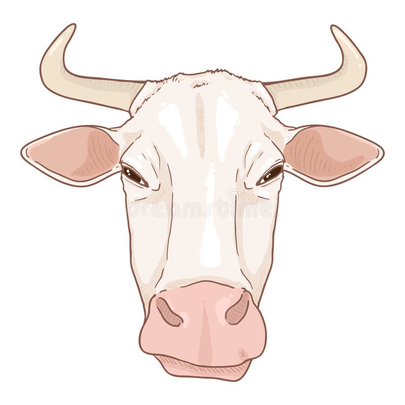 Cabeza De Vaca De Dibujos Animados Ilustración De Ganado Vectorial  Ilustración del Vector - Ilustración de carne, doméstico: 171863936