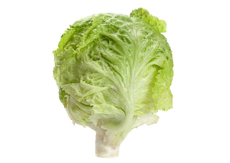 Cabeza del iceberg de la ensalada imagen de archivo libre de regalías Cabeza del iceberg de la ensalada imagen de archivo libre de regalías