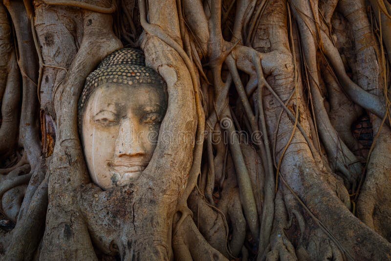 Famous Buddha Head with Banyan Tree Root at Wat Mahathat Temple in Ayuthaya Historical Park, a UNESCO world heritage site, Thailand. Famous Buddha Head with Banyan Tree Root at Wat Mahathat Temple in Ayuthaya Historical Park, a UNESCO world heritage site, Thailand