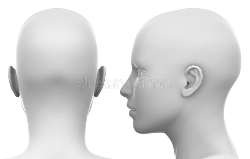 Cabeza femenina blanca en blanco - echa a un lado y la visión trasera libre illustration Cabeza femenina blanca en blanco - echa a un lado y la visión trasera libre illustration