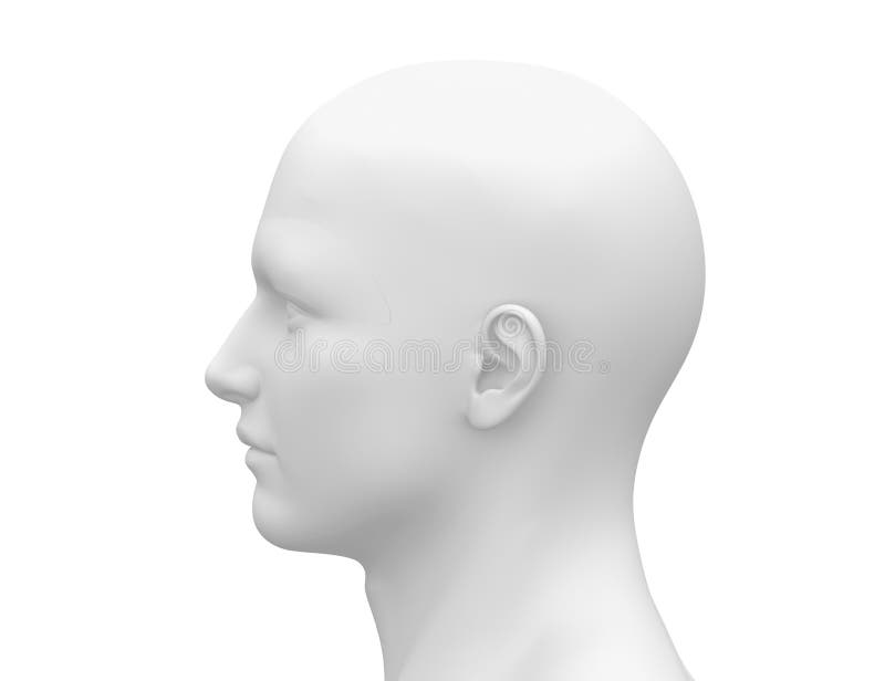 Cabeça masculina branca vazia - vista lateral
