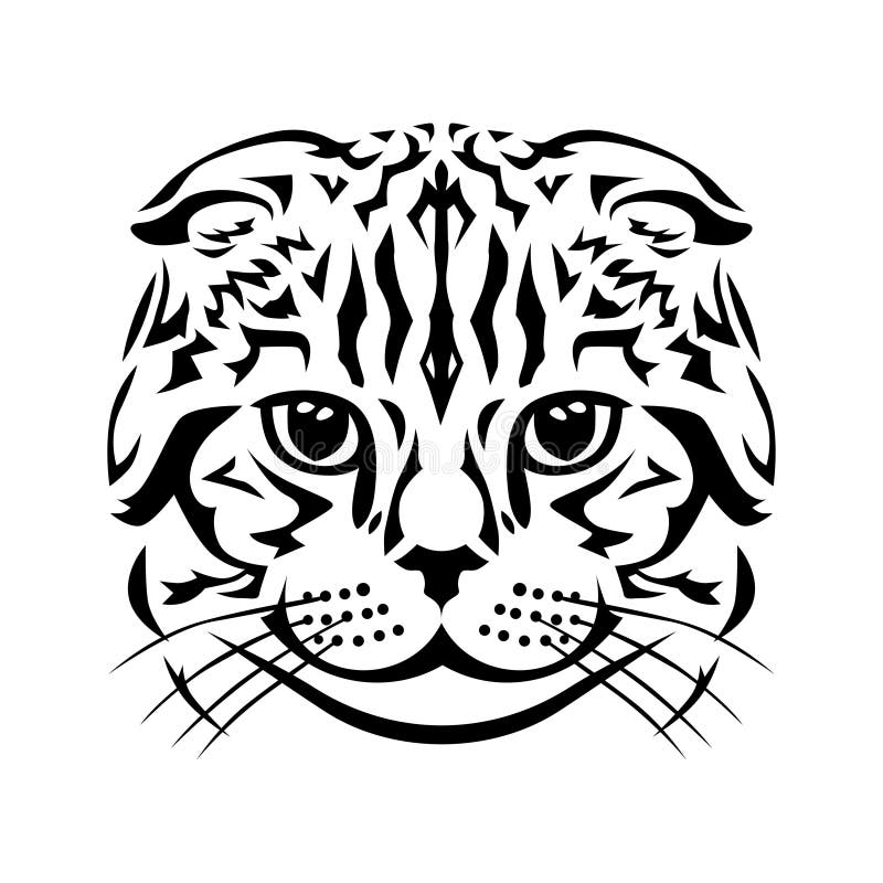 Cabeça stilized da dobra gato escocês ilustração royalty free Cabeça stilized da dobra gato escocês ilustração royalty free