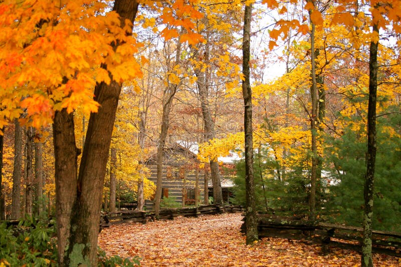 Cabin in the woods with autumn