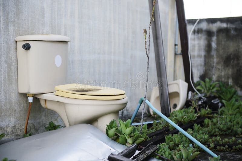 Cabina rotta vecchia della toilette circondata con vegetazione selvaggia fotografia stock libera da diritti