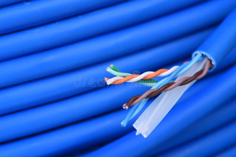Cable azul del utp del equipo de red fotos de archivo libres de regalías Cable azul del utp del equipo de red fotos de archivo libres de regalías