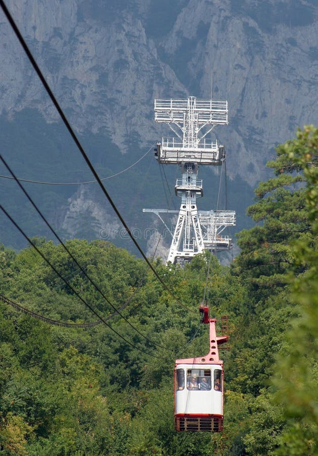 Cable car above a wood