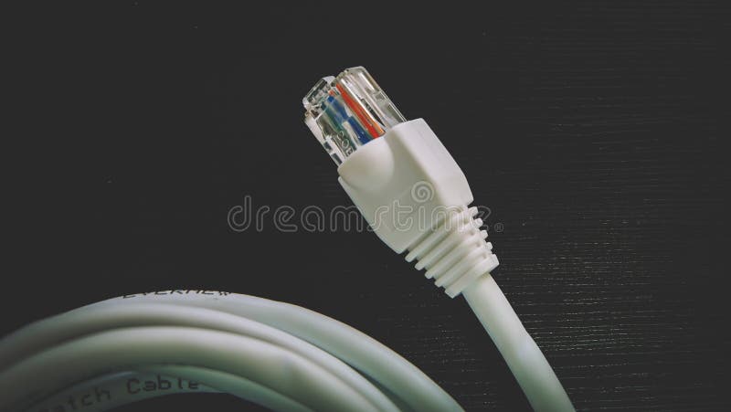 Cable de Ethernet - conectores de la cabeza RJ45 imagen de archivo libre de regalías Cable de Ethernet - conectores de la cabeza RJ45 imagen de archivo libre de regalías