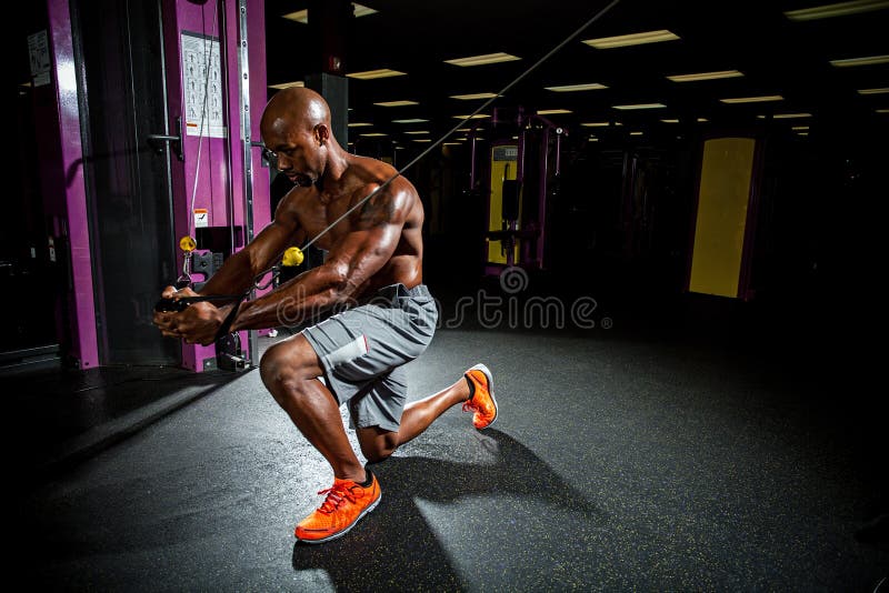 Cable Machine Weight Training Stock Photo Image of machine, american