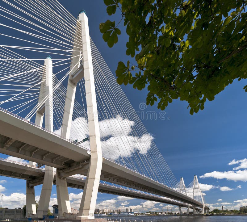 Cable-stayed bridge