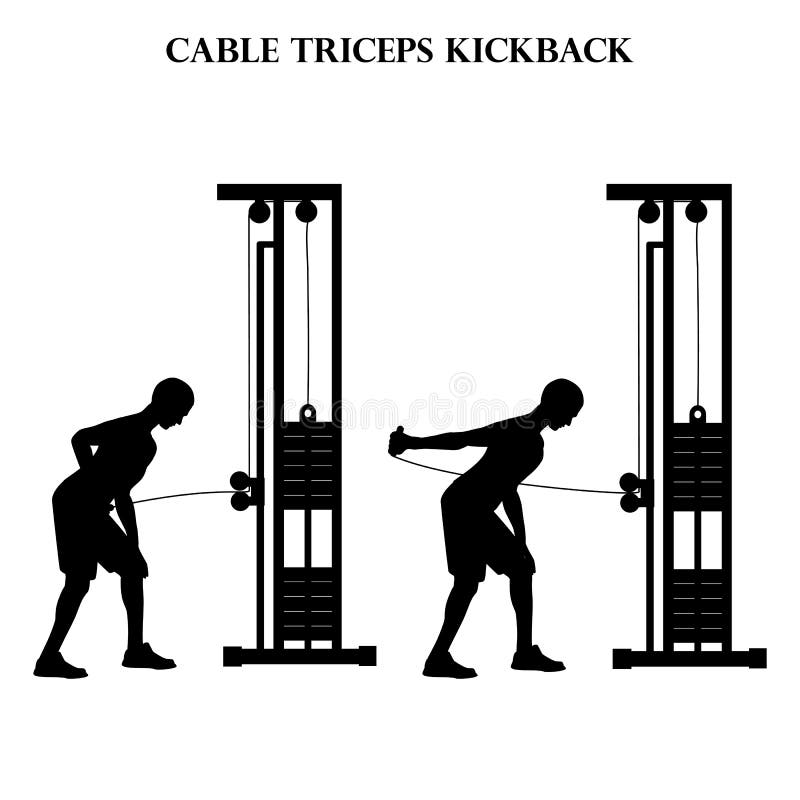 Triceps Kickback Stock Illustrations 11 Triceps Kickback Stock