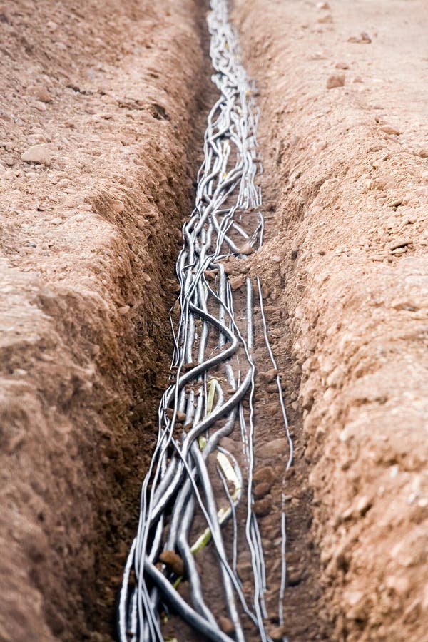 Cables in trench