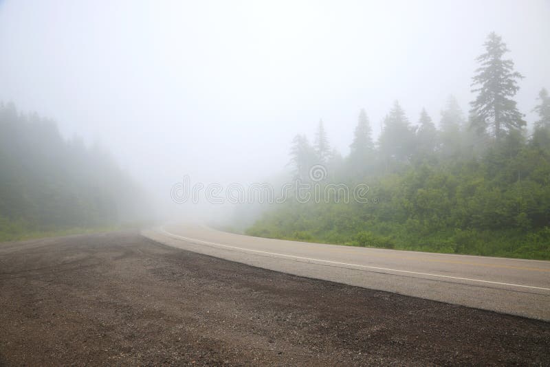 Cabot Trail Through Low Clouds, Low Visibility royalty free stock image