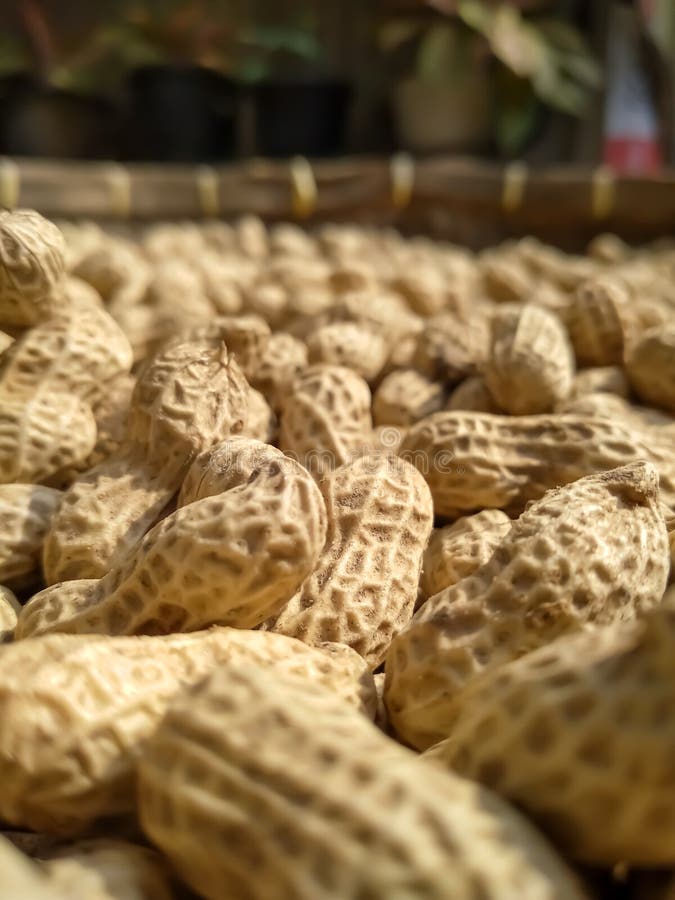 Cacahuetes en la textura de la piel. Cacahuetes de textura de piel colocados en cesta de bambú