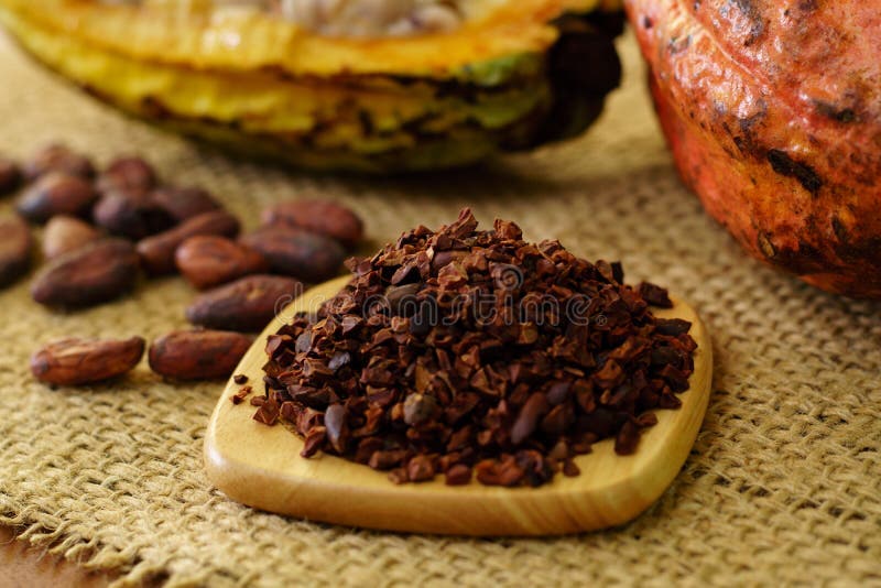 Cacao Nibs Near White Cup, Raw Cocoa Fruit, Cacao Beans Stock Photo