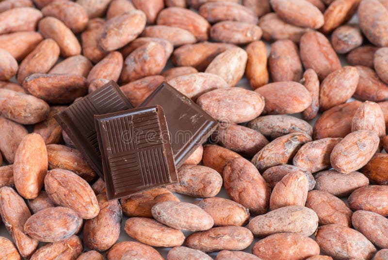 Cacaobonen en chocoladestukken stock foto Cacaobonen en chocoladestukken stock foto