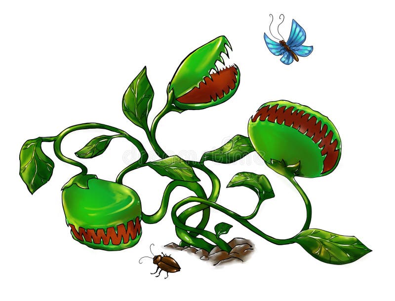 Cartoonish carnivorous plant hunting bugs and butterflies. Digital art. Cartoonish carnivorous plant hunting bugs and butterflies. Digital art