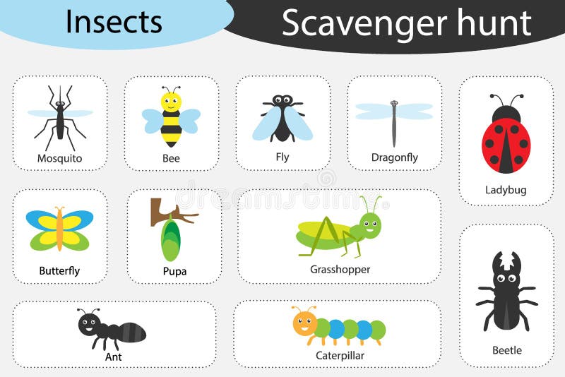 Caccia di organismo saprofago, tema degli insetti, immagini variopinte differenti per i bambini, gioco di ricerca di istruzione d royalty illustrazione gratis Caccia di organismo saprofago, tema degli insetti, immagini variopinte differenti per i bambini, gioco di ricerca di istruzione d royalty illustrazione gratis